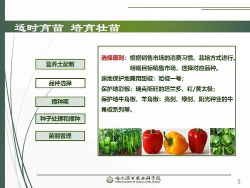 黨建引領謀發(fā)展 科技助農備春耕 網絡課堂助力辣椒栽培技術要點與網絡技術開發(fā)