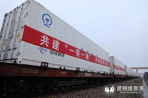 中老鐵路玉溪至萬(wàn)象國(guó)際貨運(yùn)冷鏈列車正式開行，助力跨境物流新發(fā)展